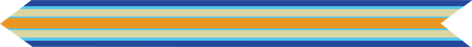 United States Marine Corps Inherent Resolve Campaign Streamer 
with two bronze stars